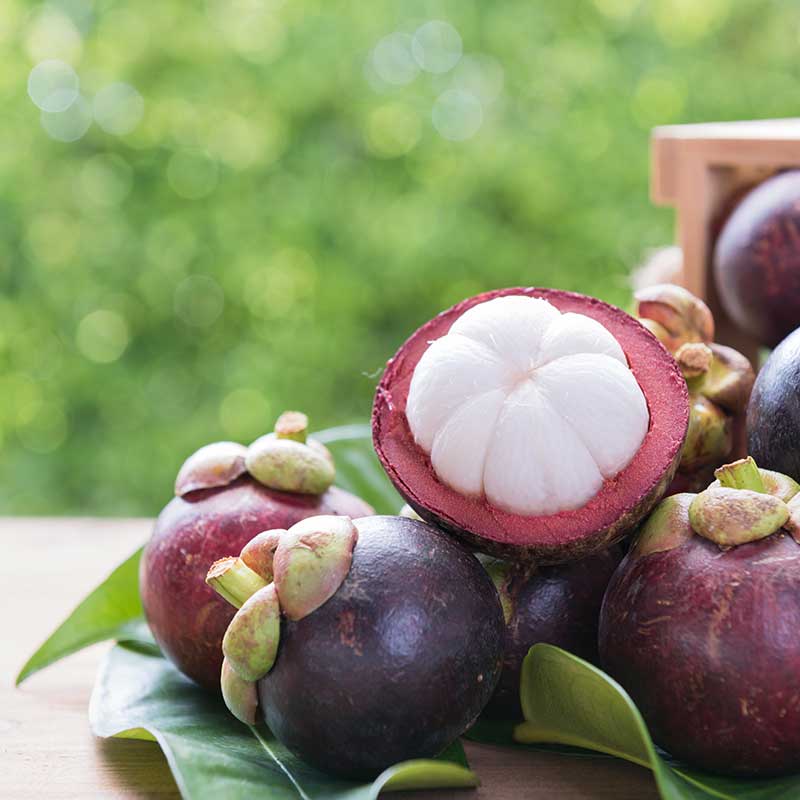 มังคุดออร์แกนิคร้านริมวาริน