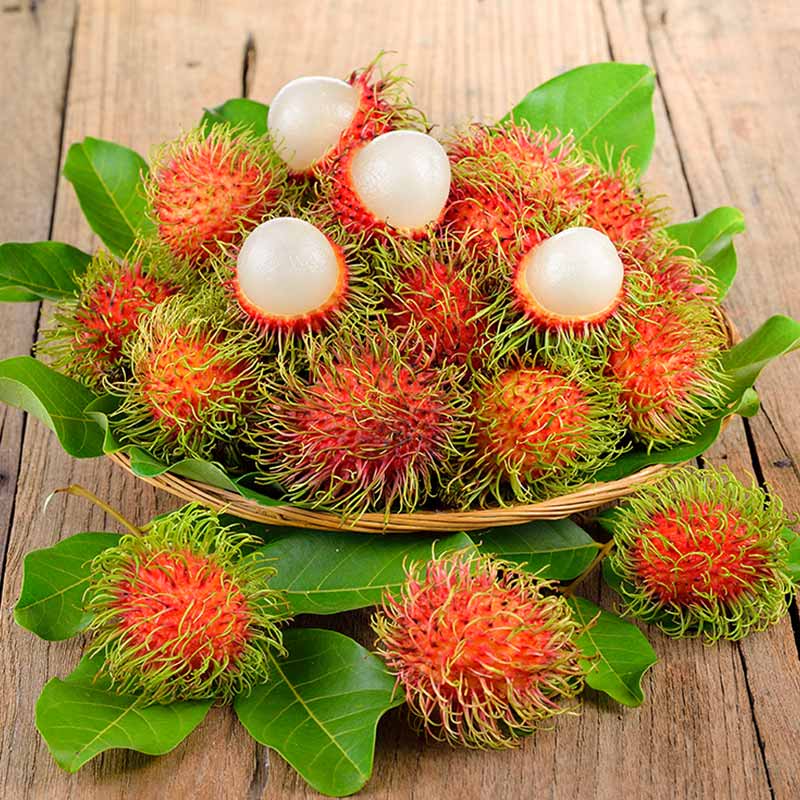 เงาะออร์แกนิคร้านริมวาริน